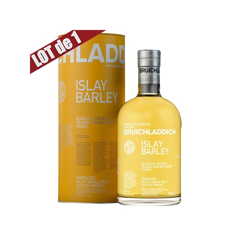 X1-bruichladdich-islaybarley