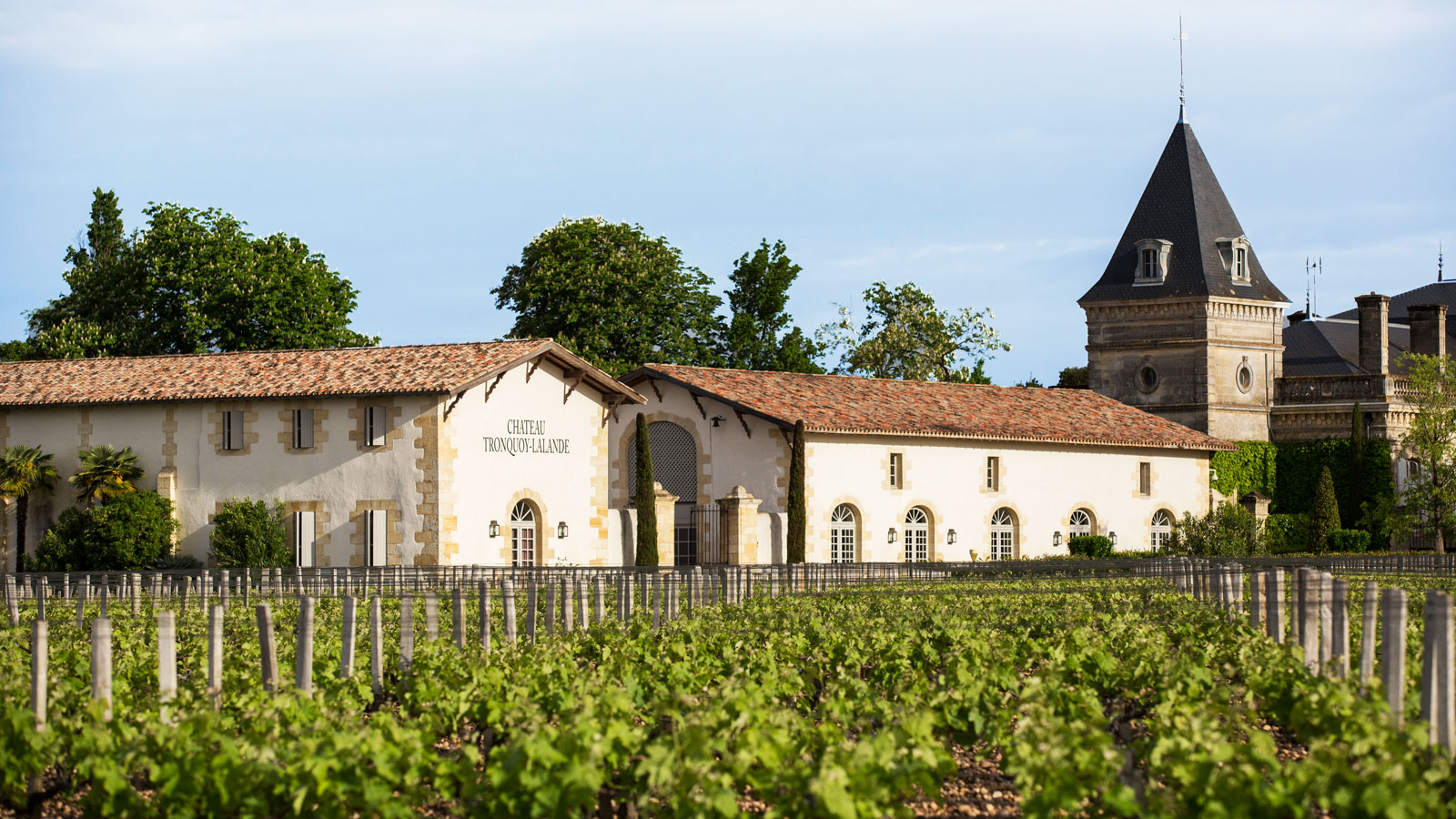 Chateau-Tronquoy-Lalande-Saint-Estephe-MA2_1920-MG.jpg