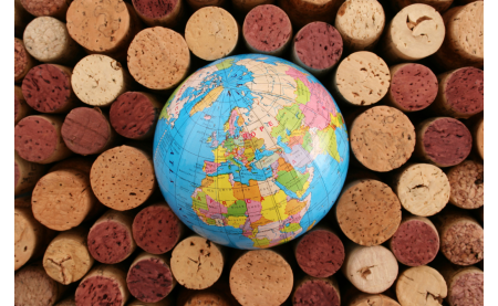 Cuisine du monde, quels vins choisir ? 